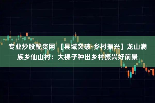 专业炒股配资网 【县域突破·乡村振兴】龙山满族乡仙山村：大榛子种出乡村振兴好前景